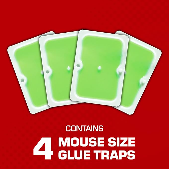 Tomcat Super Hold Glue Traps Mouse Size for Mice, Cockroaches, Spiders, and Scorpions, Ready-To-Use, 4 Traps | For Mice, Cockroaches, Spiders, and Scorpions, Ready-To-Use