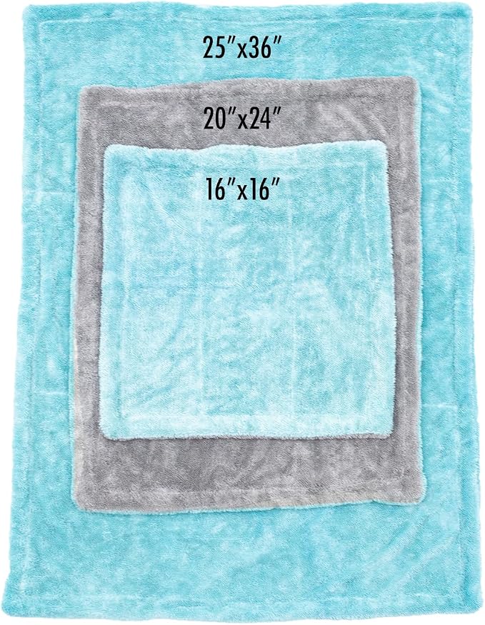 The Rag Company, The Liquid8r, Absorbent 70/30 Blend Microfiber Drying Towel for Cars, Trucks, and SUVs, Safe for Detailing, Scratch-Free, Twist Loop, 1100 GSM, 20x24 Inches, Aqua Blue/Grey