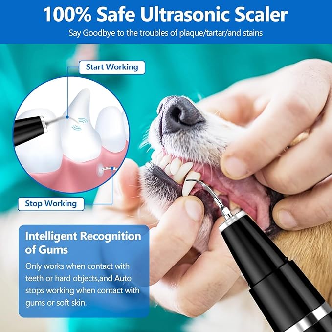 Ni-SHEN Plaque Remover for Teeth - Pet Ultrasonic Cleaner - Teeth Cleaning Kit for Tartar and Stains - Suitable for Dogs and Cats (Black)