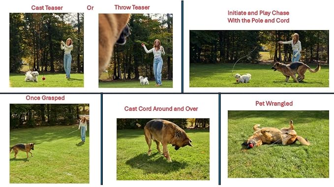 PET Wrangler 2.0 - Upgraded Flirt Pole for Dogs, Interactive Dog Toy with Reinforced 50" Pole &10ft Cord, Creates Extended Play Area, 3 Changeable Lures for Training, Exercise, & Enrichment