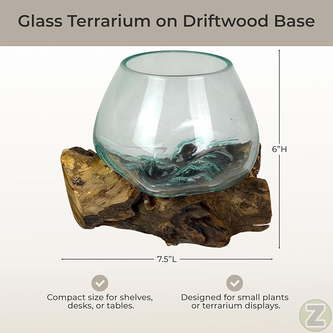 Planter Terrarium with Molten Glass Bowl on Driftwood, 7.5 Inch | Natural Base Varies by Piece, 3.5 Inch Opening, 4 Inch Center Depth, Freestanding for Shelves or Desks