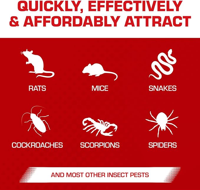 Tomcat Super Hold Glue Traps Rat Size, 2 Traps | For Rats, Mice, Snakes, Cockroaches, Spiders, and Scorpions, Ready-To-Use