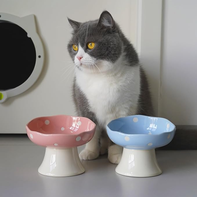 Pink and Blue Mushroom Cat Bowl Set,2PCS Elevated Ceramic Bowls for Cats | Cute Design, Elevated, Ceramic, Whisker Friendly, Dishwasher Safe