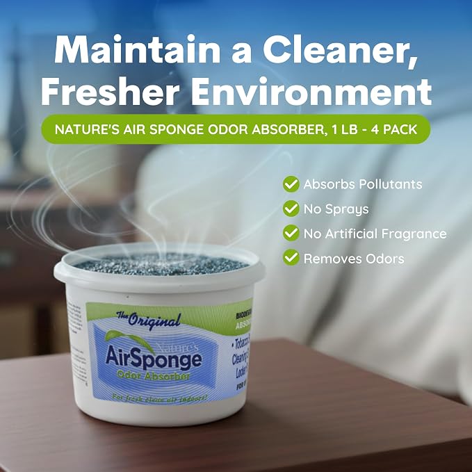 Nature's Air Sponge Odor Absorber, 1 Lb - 4 Pack, Set of 4