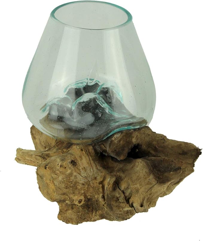 Planter Terrarium with Molten Glass Bowl on Teak Driftwood, 8.5 Inch | Brown Natural Base, Clear Hand-Formed Vessel, For Succulents, Air Plants, Herbs or Fairy Gardens