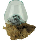 Planter Terrarium with Molten Glass Bowl on Teak Driftwood, 8.5 Inch | Brown Natural Base, Clear Hand-Formed Vessel, For Succulents, Air Plants, Herbs or Fairy Gardens