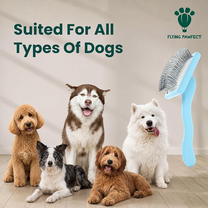 Slicker Brush for Dogs - Long Pin for Poodles, Doodles & Long Haired Dogs, Deshedding & Dematting Tool, Slicker Dog Brushes for Grooming (Baby Blue, Flat Large)