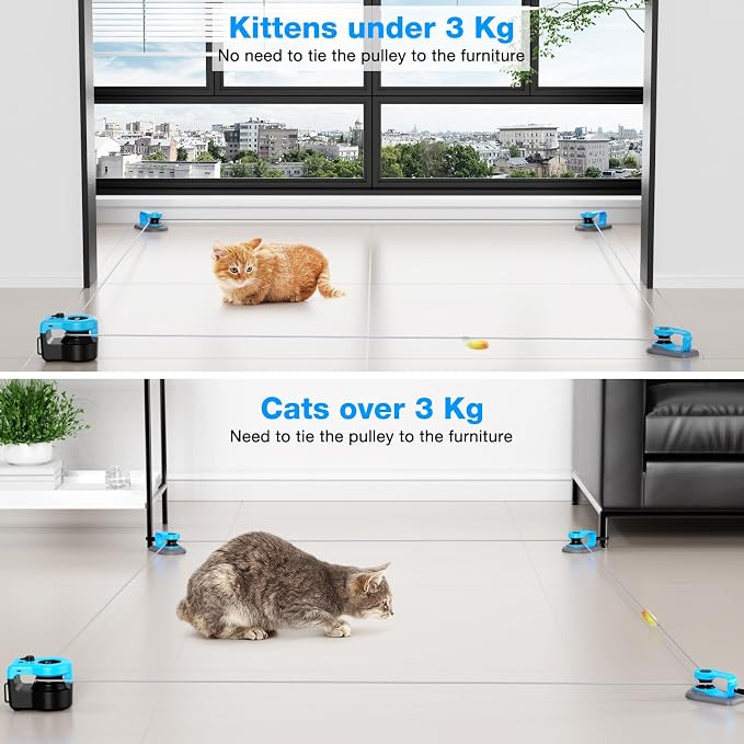 Interactive Cat Toy for Indoor Cats, Auto/Remote Control DIY Cat Mouse Hunting Treadmill Keep Bored Kitten Puppy Entertained to Chase, Feather Toy to Exercise-Blue & Black