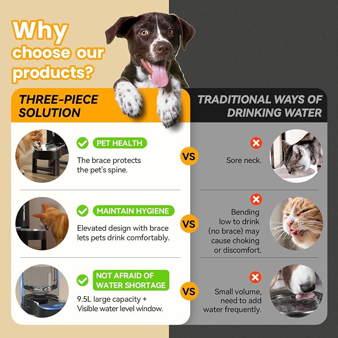 CZPET Elevated Dog Water Bowl Dispenser for Large Dogs (9.5L+Stand,Black) | With Stainless Steel Bowl Gravity Waterer, Large Capacity and Drinking Area Noise-Free for Pets