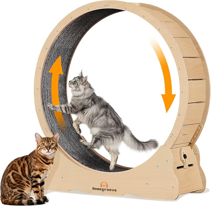 Homegroove XXXL Giant Cat Wheel, 59"/150cm Extra Large Cat Exercise Wheel for Maine Coon & Large Cats - Spinal Alignment Design, Solid Wood Cat Treadmill with Safety Lock & Anti-Pinch Gap