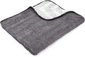 The Rag Company Gauntlet Car Drying Towel, Ultra-Absorbent 70/30 Blend Korean Microfiber, Dries Vehicles Faster Without Scratching, 900 GSM, 30x36 Inches, Ice Grey/Grey, 1-Pack