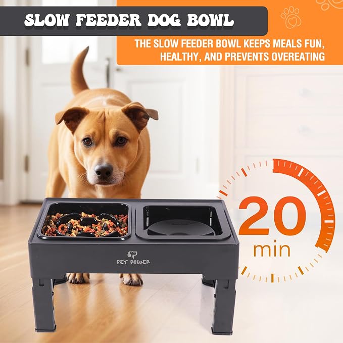 Elevated Dog Bowls with Collapsible Scoop, Slow Feeder Dog Bowls & No-Spill Water Bowl, Raised Dog Bowl Stand 4 Adjustable Heights for Small, Medium & Large Dogs