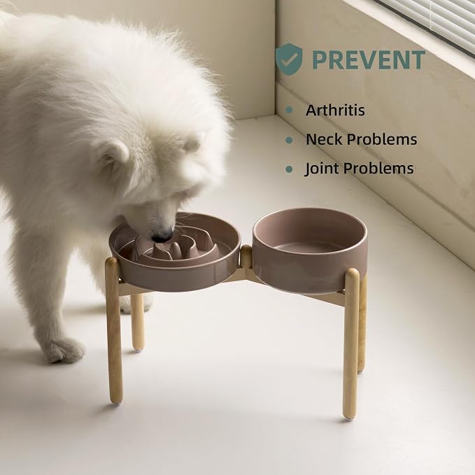 Havniva Elevated Slow Feeder Dog Bowls, Ceramic Dog Bowl Slow Feeder Set | 3.2 Cups Raised Slow Feeder Dog Bowl for Large Breed, 8.2” Dog Water Bowl with Wooden Stand, Puzzle Dog Food Bowl, Non-slip