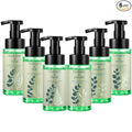 6 Pack Eucalyptus Foaming Hand Soap with Pump Care Moisturizing Liquid Eucalyptus Scented Foam Hand Wash 2026 New Year Gifts for Kitchen Bathroom Family Teacher Staff 8.75 Fl. oz