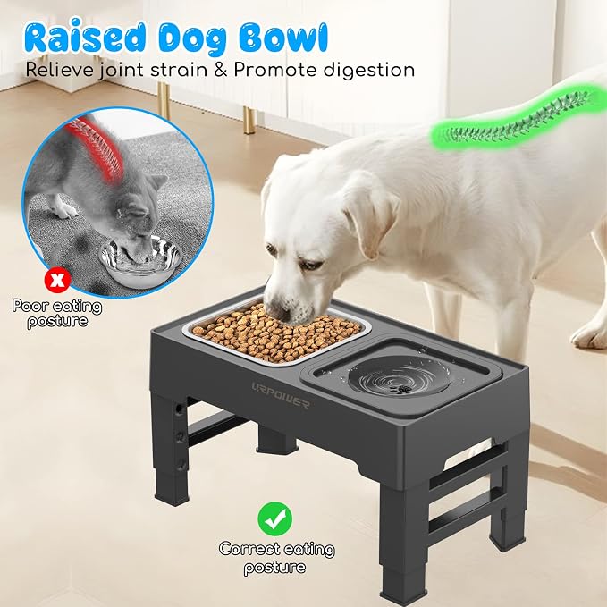 URPOWER 2-in-1 Elevated Dog Bowls 4 Height Adjustable Raised Dog Bowls | Stainless Steel Food Bowl with No Spill Water Bowl and Non-Slip Stand for Small Medium Large Dogs