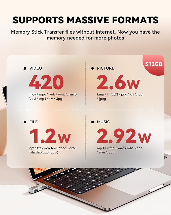 MFi Certified 256GB iPhone Photo Stick, High-Speed USB Flash Drive Memory Storage for Video Backup, Compatible for iPhone/iPad/Android/PC (Silver)