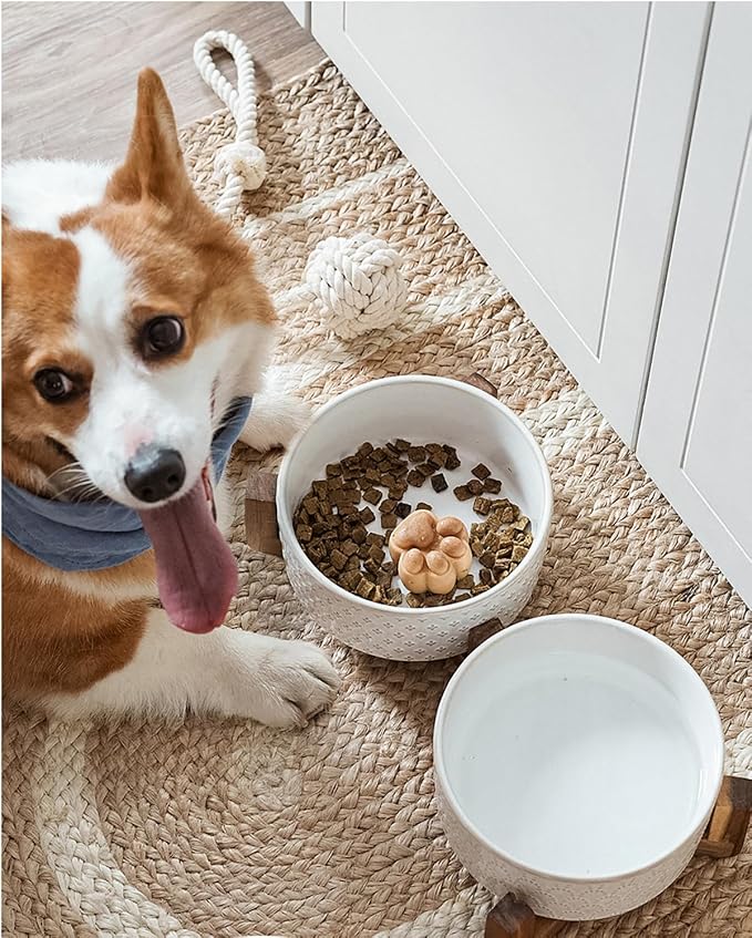 LE TAUCI Dog Bowls Ceramic for Small Medium Dogs - 3-Cup Dual Food & Water Bowl Set with Acacia Wood Stand, Non-Slip Anti-Tip Elevated Design
