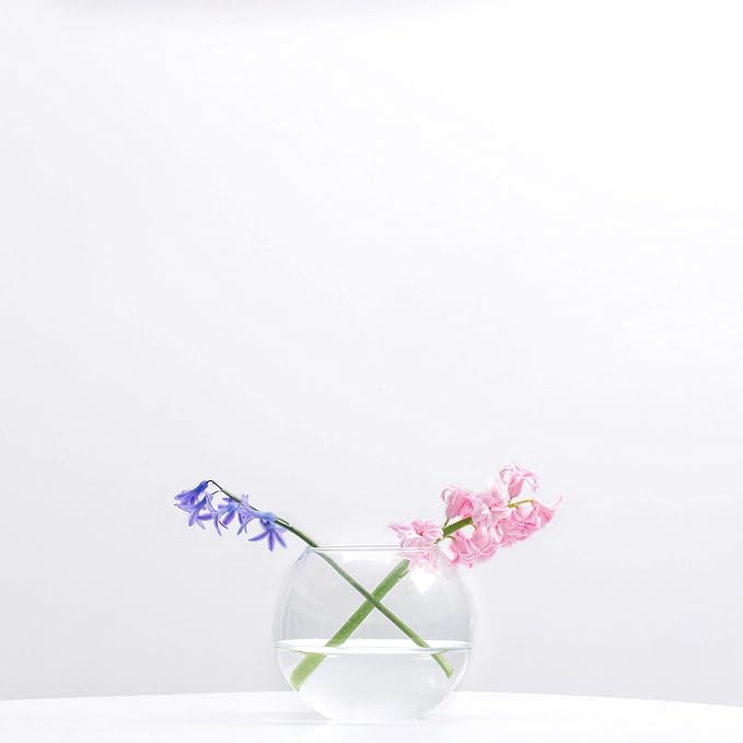 WGV Bowl Glass Vase Bulk, Diameter 6", Height 4.5", Open Width 4", 48 oz., (Multiple Sizes Choices) Clear Bubble Planter Terrarium Fish Bowl for Wedding Event Home Decor, 12 Pieces (VBW0006A)