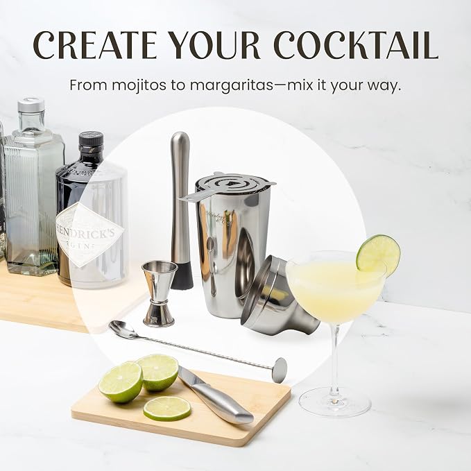 Mixology Cocktail Shaker Set - 10-Piece Cocktail Making Set - Home Bartender Kit in Bamboo Stand with Spoon, Boston Shaker, Other Tools for Drink Mixing, Martini, Mocktail - Gift Set (Silver)