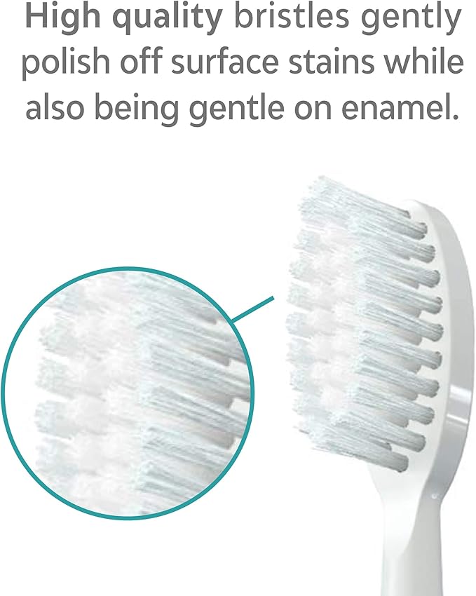 TAO Clean Sonic Electric Toothbrush Replacement Heads (6-Pack) – Replacement Heads for the TAO Clean Electric Toothbrush and Docking Station, White