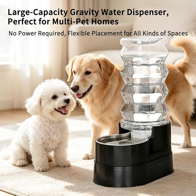 RIZZARI 8L Elevated Dog Water Dispenser: Large Dogs Senior Pets Filtered | Comfortable Drinking Position / Anti Splash Base / Stainless Steel Bowl / Easy Cleaning / Dishwasher Safe/Multi Pet Homes
