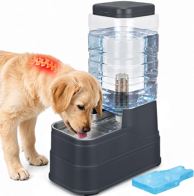 2.2 Gallon Pet Automatic Dog Water Dispenser Cat Gravity Waterer Feeder with Stainless Steel Bowl 8L Large Capacity Puppy Feeding Raised Bowls with Filter,Ice Pack (Charcoal Gray, 8L(2.2 Gallon))