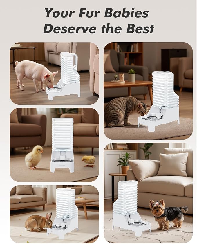 Automatic Dog Water Bowl Dispenser with Patented Faucet - 6L Large Gravity Cat Water Dispenser with Handle, Filter & Adjustable Base, Wide Mouth for Easy Clean, BPA-Free, Stainless Steel Pet Waterer