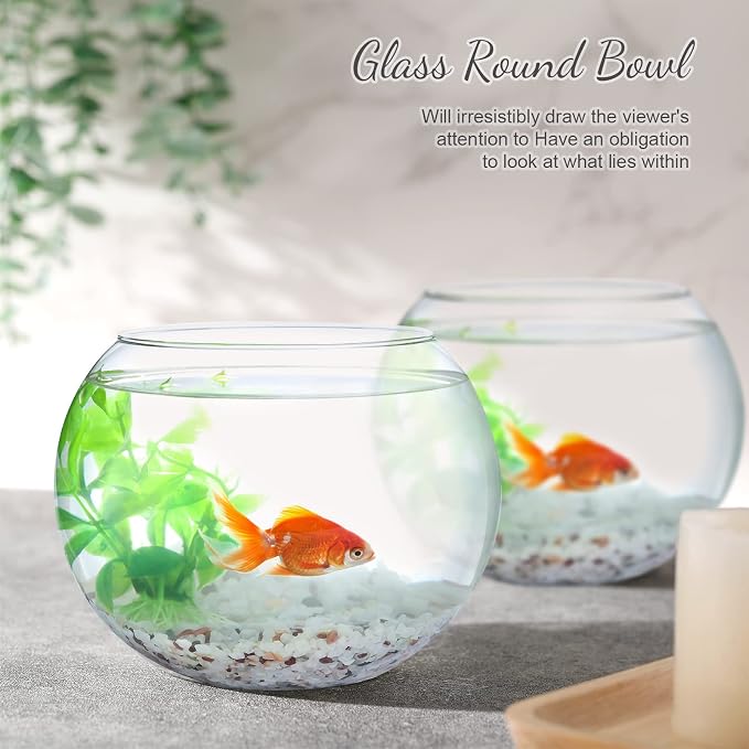 Thenshop 6 Pcs Clear Fish Bowl Bulk Glass Bubble Vase Mini Round Vase Bubble Planter Terrarium Fish Bowl for Centerpiece Flowers Betta Fishs Wedding Event Home Decor Flowers (4.5 x 3.7 x 5.9 Inch)