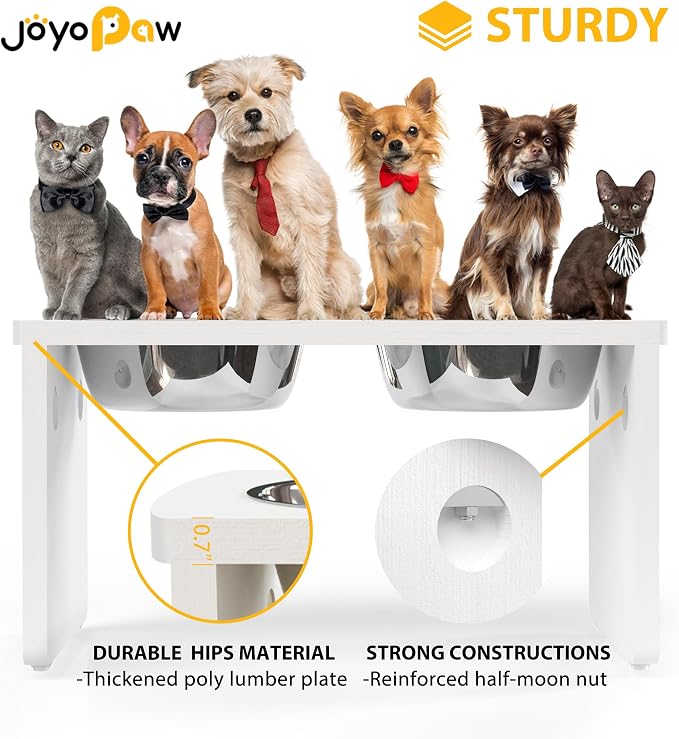 Elevated Dog Bowls, Waterproof Raised Dog Bowl for Medium & Large Dogs, HIPS Poly Lumber Stand with 2 Stainless Steel Bowls, Indoor & Outdoor Use (10'' Tall–48 oz Bowl, White)
