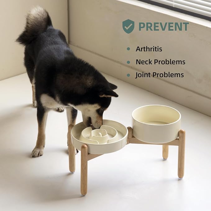 Havniva Elevated Slow Feeder Dog Bowls, Ceramic Dog Bowl Slow Feeder Set | 1.6 Cups Raised Slow Feeder Dog Bowl for Medium Breed, 7.3” Dog Water Bowl with Wooden Stand, Puzzle Dog Food Bowl, Non-slip
