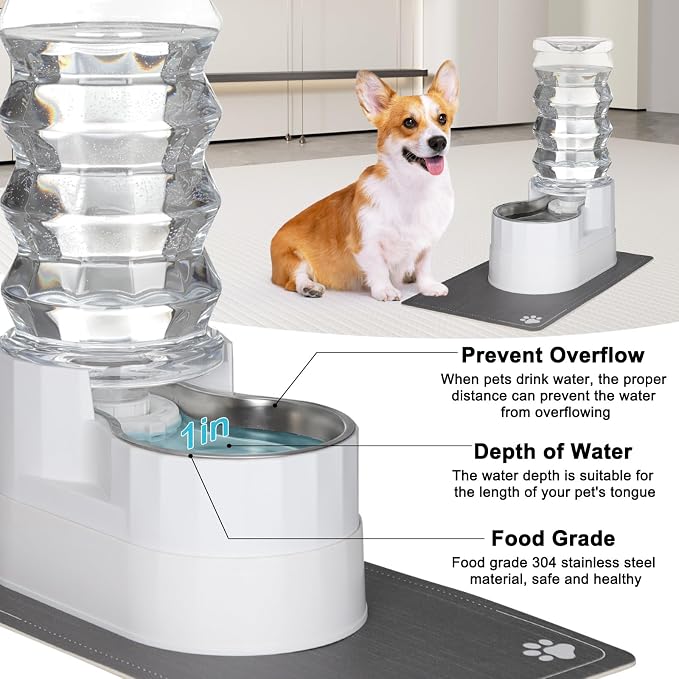 RIZZARI 8L Elevated Dog Water Dispenser: Senior Pets Filtered Hydration | Raised Stand Helps Reduce Neck Strain/Stainless Steel Bowl/Quiet Gravity-Fed Operation/for Multi-Pet Homes