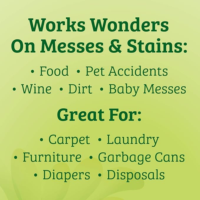 Biokleen Bac-Out Stain+Odor Remover, Destroys Stains & Odors Safely, for Pet Urine, Laundry, Diapers, Wine, Carpets, & More, Eco-Friendly, Non-Toxic, Plant-Based, 32 Ounces