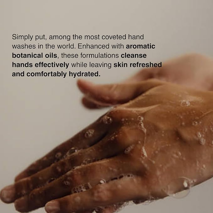 Aesop Resurrection & Reverence Aromatique Hand Wash Set – Nourishing Hand Wash & Gentle Exfoliating Hand Soap Duo | Botanical Cleansers Made with Hydrating Essential Oil Blend | 16.9 oz Each (2 Pack)