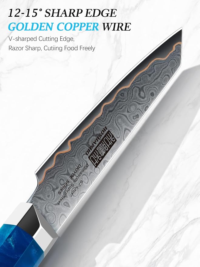 HOSHANHO 4" Damascus Paring Knife, 67-Layer Damascus Steel Fruit Knife | Ultra Sharp Professional Small Kitchen Knives with Ergonomic Blue Resin Stabilized Wood Handle and Wood Gift Box