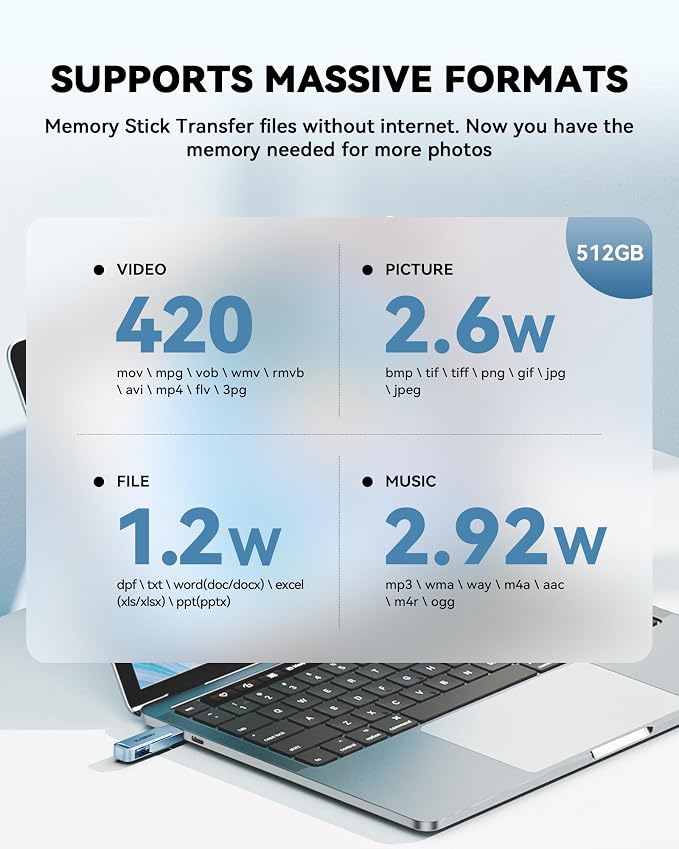 MFi Certified 256GB iPhone Photo Stick, High-Speed USB Flash Drive Memory Storage for Video Backup, Compatible for iPhone/iPad/Android/PC (Blue)