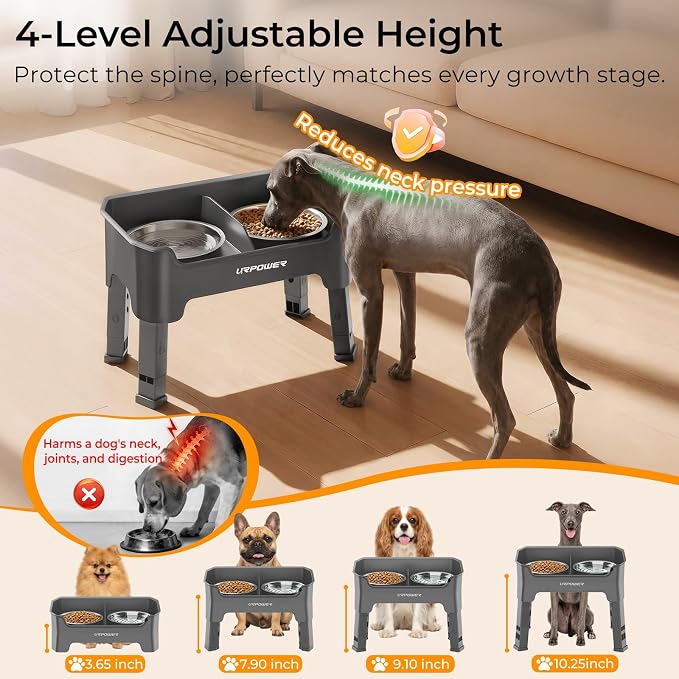 URPOWER Mess Proof Elevated Dog Bowls, Splash Guard Raised Bowl Stand | 4 Adjustable Heights, 2 Stainless Steel Bowls, Food & Water Separation, Non-Slip Base, Foldable Design for Small Dogs
