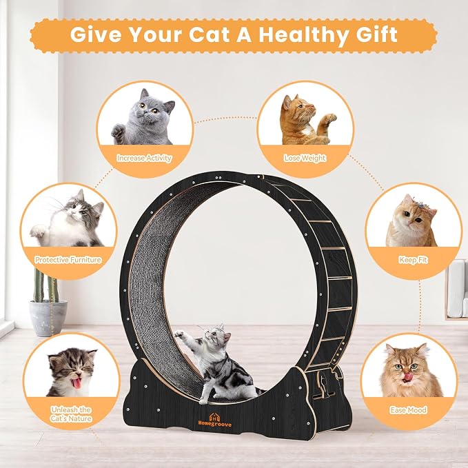 Homegroove Cat Wheels for Indoor Cats, 43" Large Cat Exercise Running Treadmill Wheel with Carpeted Runway for Kitty’s Longer Life, Black(L)
