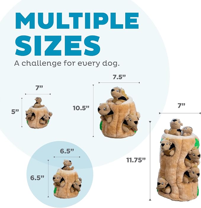 Outward Hound Hide-A-Squirrel Dog Toy – Interactive 2‑in‑1 Plush Puzzle with 3 Squeaky Removable Squirrels, Medium