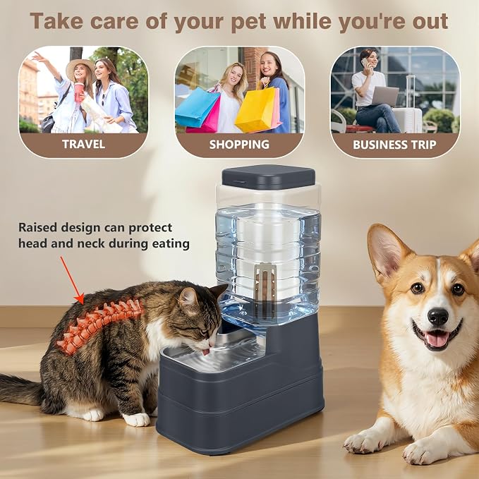 2.2 Gallon Pet Automatic Dog Water Dispenser Cat Gravity Waterer Feeder with Stainless Steel Bowl 8L Large Capacity Puppy Feeding Raised Bowls with Filter,Ice Pack (Charcoal Gray, 8L(2.2 Gallon))