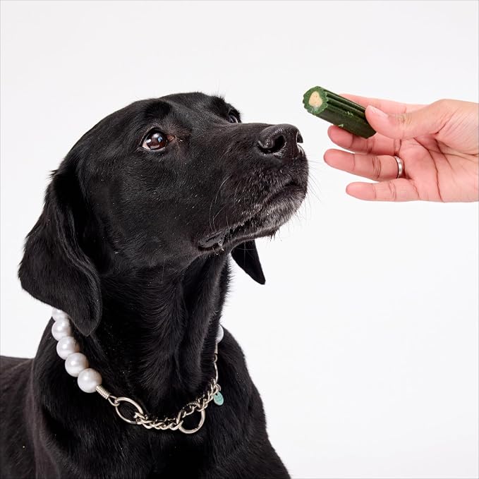 Ark Naturals Brushless Toothpaste Dog Dental Chews - Large Breeds (32 ct) | Vet Formulated Dog Dental Chew with Toothpaste Center - Freshens Breath, Reduces Plaque & Tartar