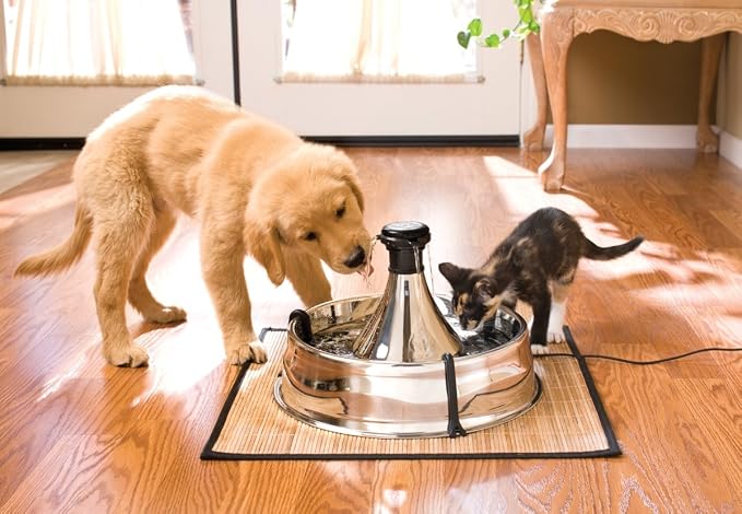 PetSafe Drinkwell Stainless Multi-Pet Fountain, red, 8 lb (PWW00-13705) | Customizable 1-5 Water Streams, Rust/Scratch-Resistant Stainless Steel, Carbon and Foam Filters Included