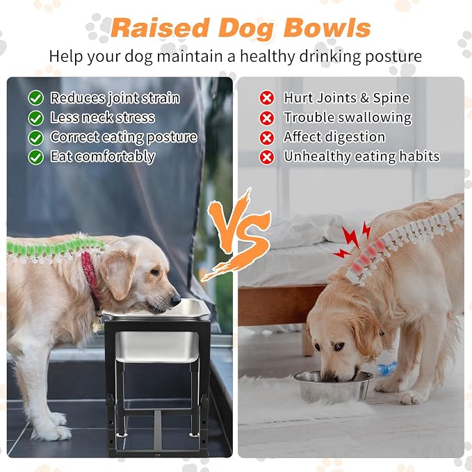 1.25 Gallon Elevated Dog Water Bowl, 4-Height Raised Stand | Stainless Steel Raised Bowl, 4 Heights 9.65-15.16 in, Non-Slip Feet, Small and Medium Dogs, Indoor Outdoor Use, Easy to Clean