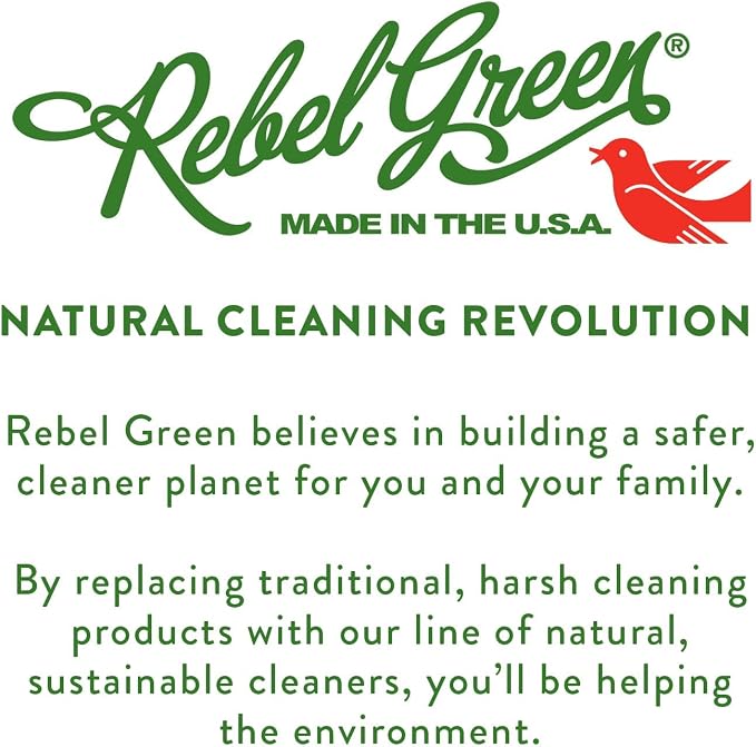 Rebel Green Super Deluxe Dish Soap - Plant-Derived Sustainable Dishwashing Soap - Peppermint & Lemon Scent - 16 fl oz - 2 Pack