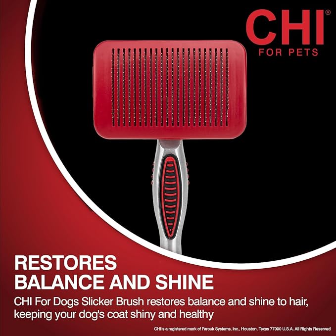 CHI for Dogs Self Cleaning Slicker Brush with Pivoting Head, Small Dog Grooming Brush for Detangling and Removing Loose Hair, Fine Wire Pins for Small Breed Dog Coats, Ergonomic Handle - 3 Pack
