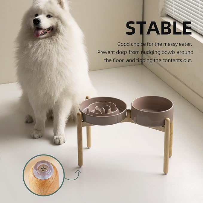 Havniva Elevated Slow Feeder Dog Bowls, Ceramic Dog Bowl Slow Feeder Set | 3.2 Cups Raised Slow Feeder Dog Bowl for Large Breed, 8.2” Dog Water Bowl with Wooden Stand, Puzzle Dog Food Bowl, Non-slip