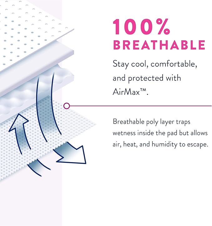 Prevail Proven | X-Large Pull-Up | Womens Incontinence Protective Underwear | Maximum Absorbency | 64 Count