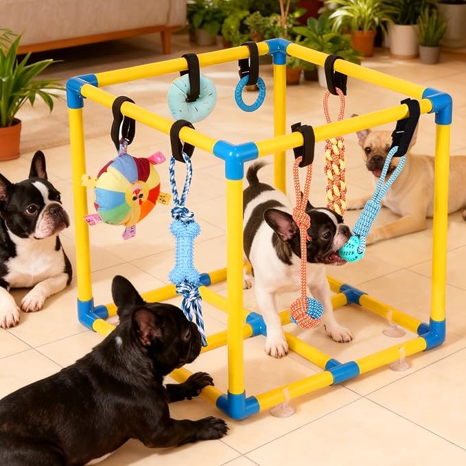 WLLEYAY Puppy Play Gym for Small Dogs 10 Hanging Toys,Interactive Dog Toys | Removable Indoor Jungle Gym,PVC Frame With Adjustable Bungee Straps, Interactive Tug Toys,Dogs Rope Toy To Keep Them Busy