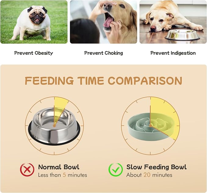 Havniva Elevated Slow Feeder Dog Bowls, Ceramic Dog Bowl Slow Feeder Set | 0.9 Cups Raised Slow Feeder Dog Bowl for Small Breed, 6.1” Dog Water Bowl with Wooden Stand, Puzzle Dog Food Bowl, Non-slip
