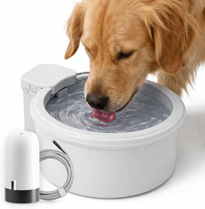 Always Full® 9" Self-Refilling Dog Water Bowl & Bottle Pump Bundle | Self-refilling filtered water with app-enabled hydration monitoring; easily upgradeable to the Always Full® Wall Unit.