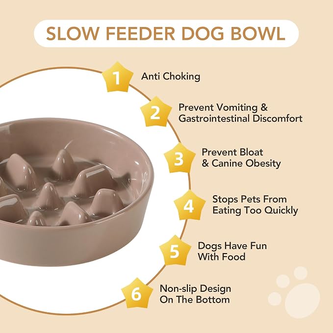 Havniva Dog Bowls Slow Feeder, Ceramic Slow Feeder Dog Bowls for Fast Eater | 0.9 Cups Dog Food Bowl Puzzle Feeder, Slow Feeding Bowls for Small Breed, Non-Slip Base, Anti-Choking